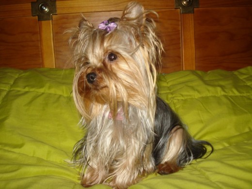 Mi niña chica posando Mi niña chica posando